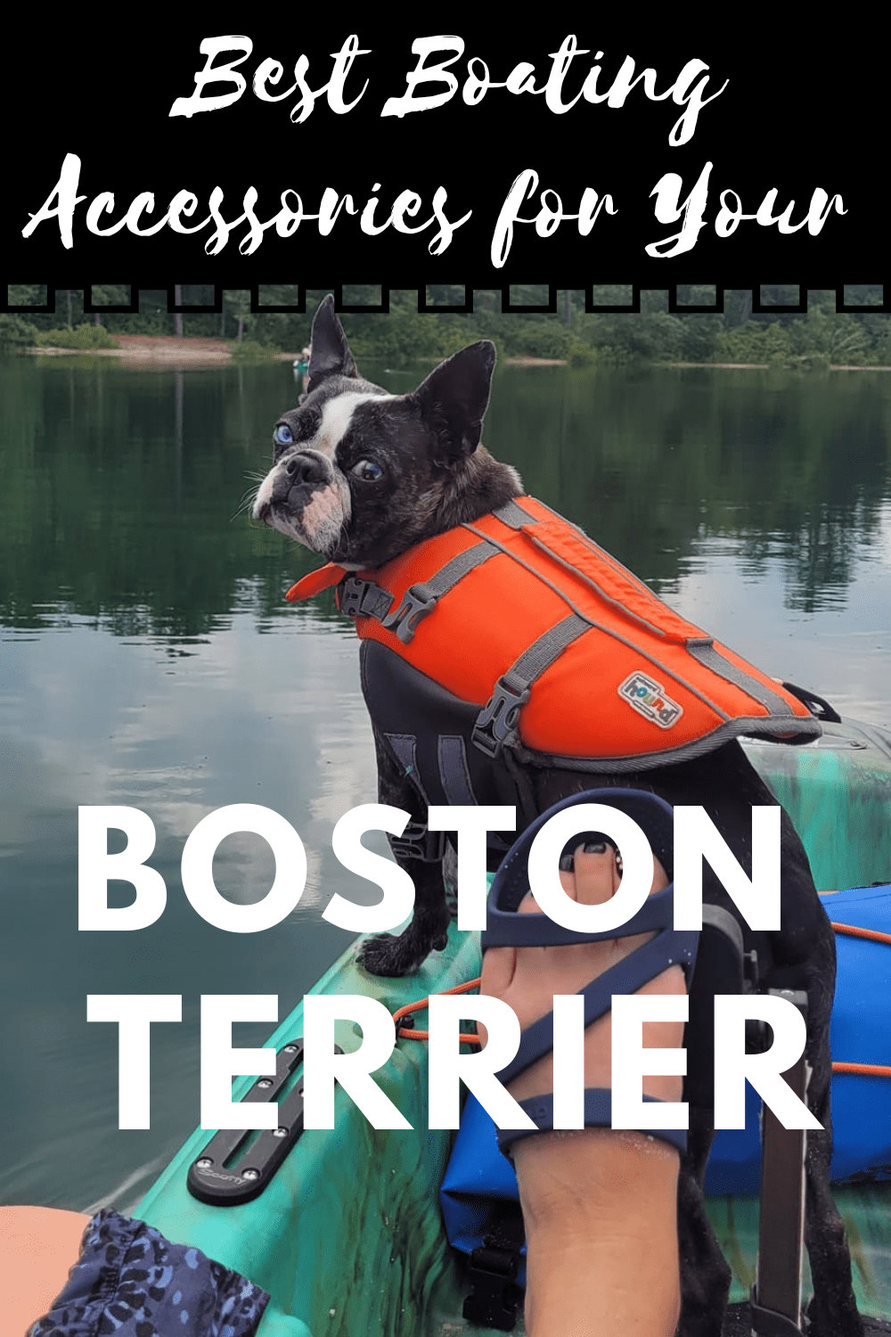 Best Boating Accessories for Your Boston Terrier