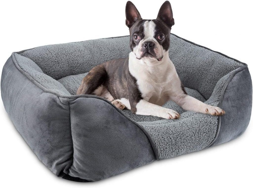 Boston terrier in AIPERRO Dog Bed 