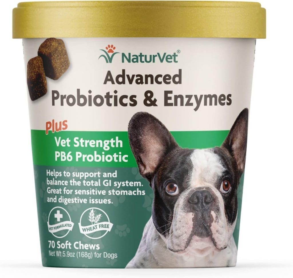 Probiotic for Boston Terriers