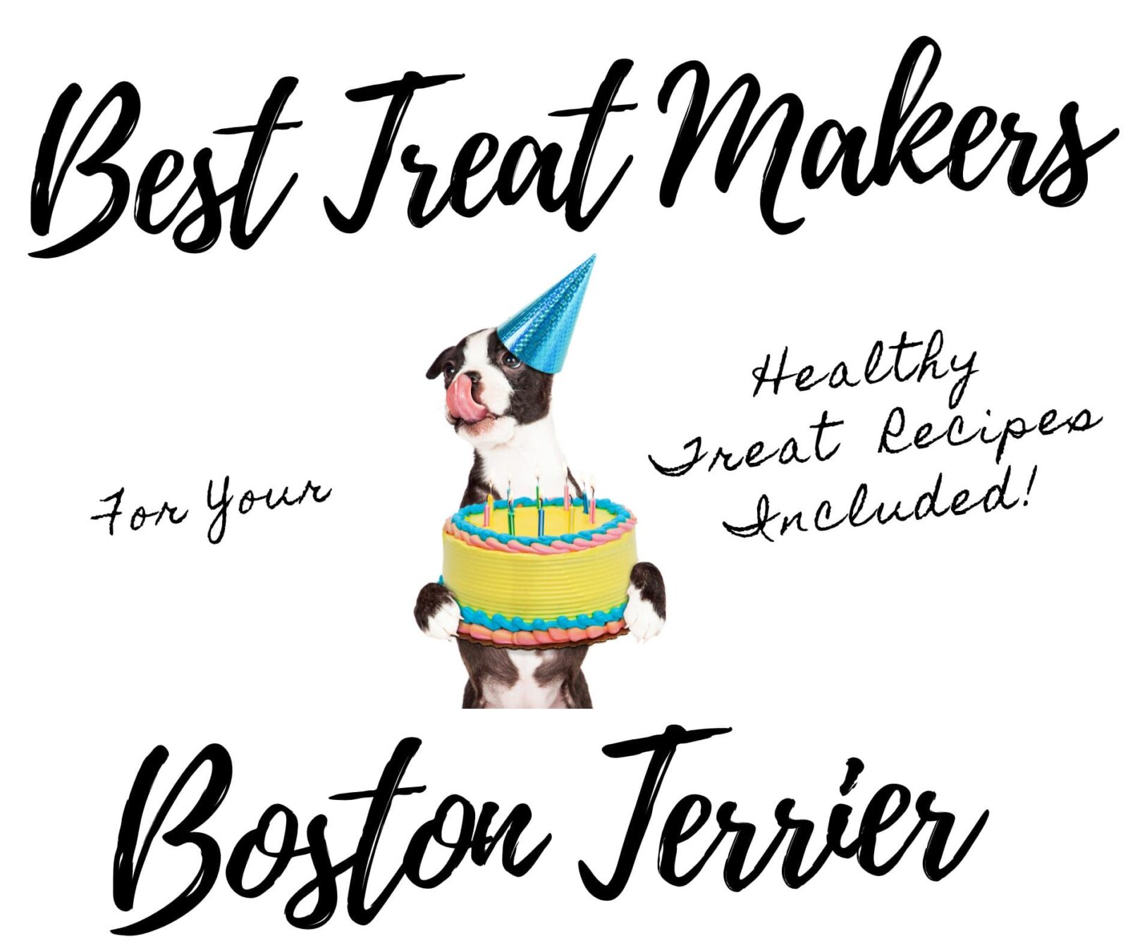 Best Dog Treat Makers for Your Boston Terrier