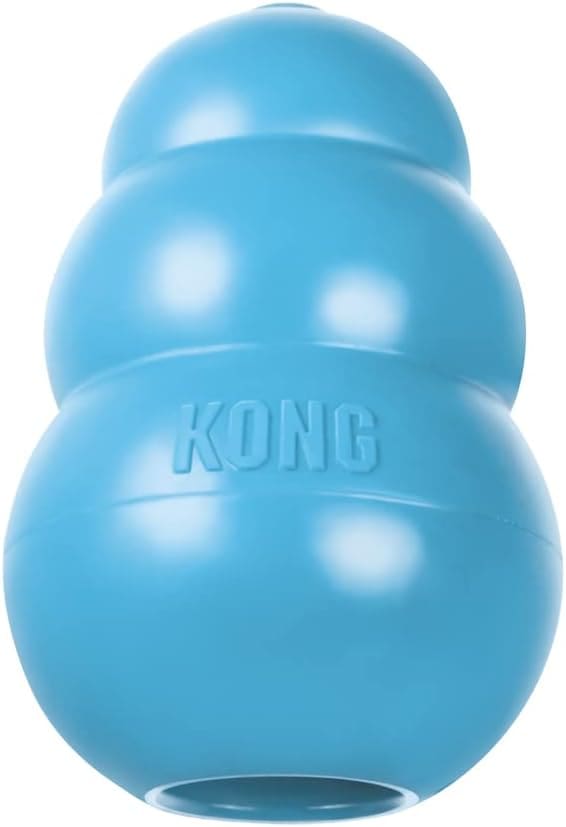 KONG puppy chew toy