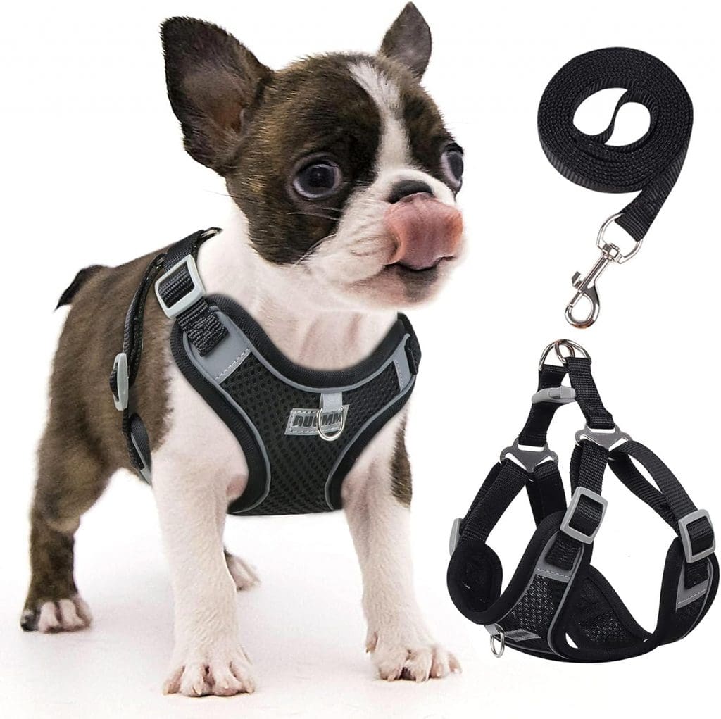 puppy harness