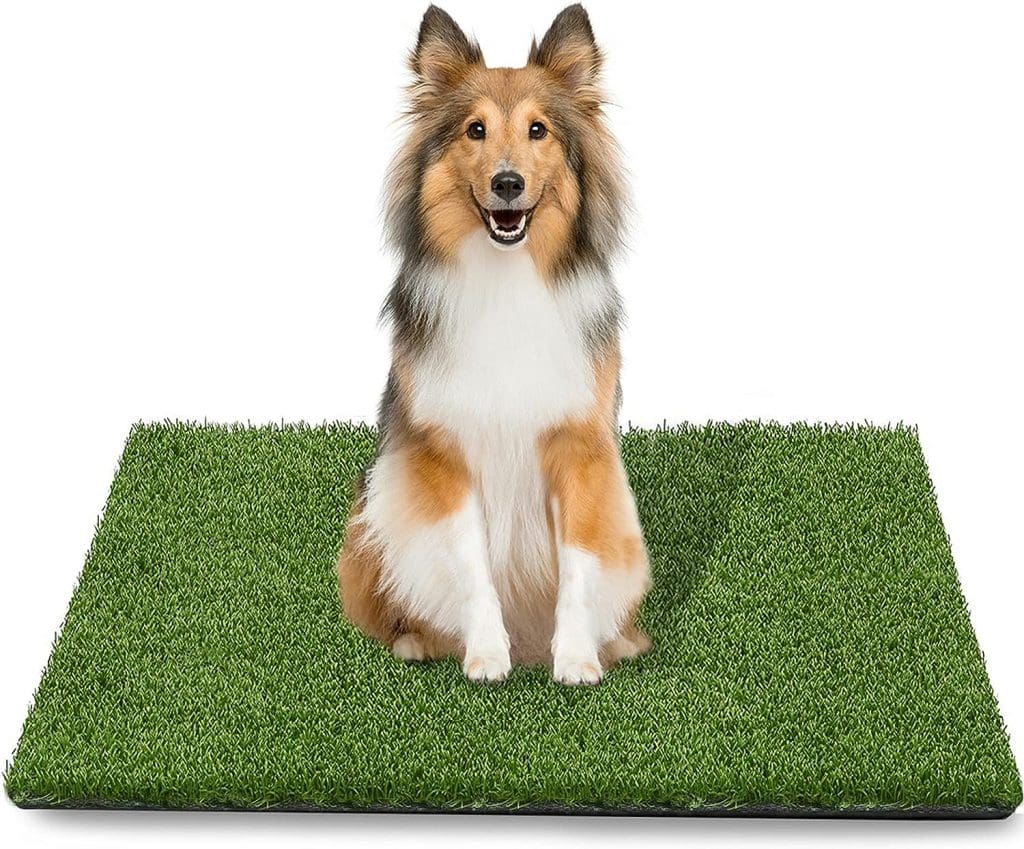 Artificial Grass Patch potty training aid