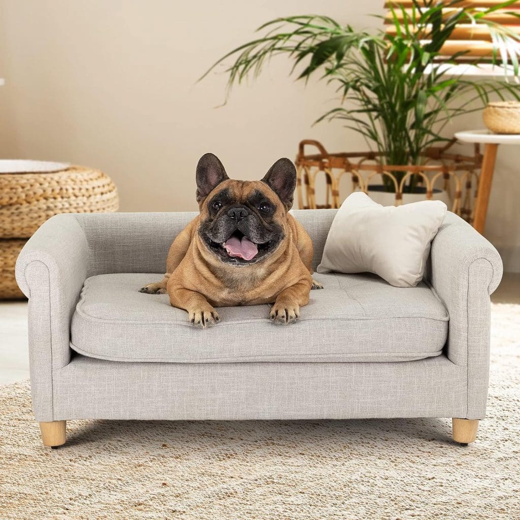 dCee Medium pet Sofa