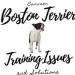 Overcome Excessive Barking in Boston Terriers: 5 Reasons Why, 5 Effective Solutions