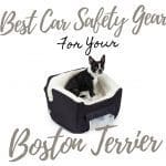 5 Best: Choosing a Perfect Dog Bed for Your Boston Terrier