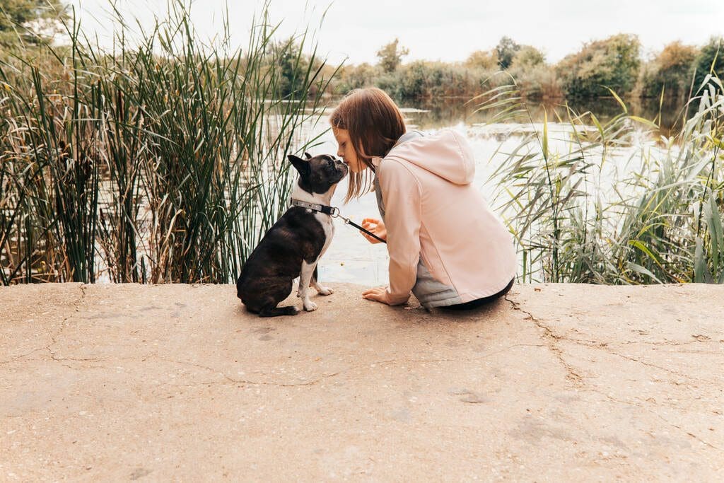 Little girl kissing her Boston Terrier dog on the lakeshore - Autumn scenery - copy space