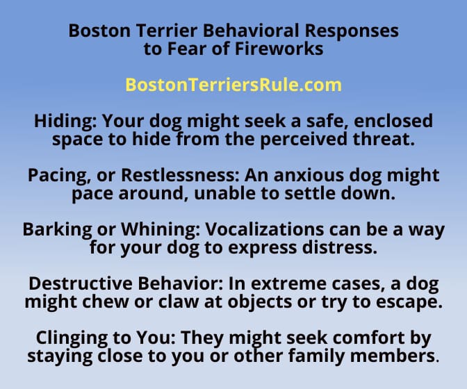 Boston Terrier Behavioral Responses to Fear of Fireworks InfoGraphic